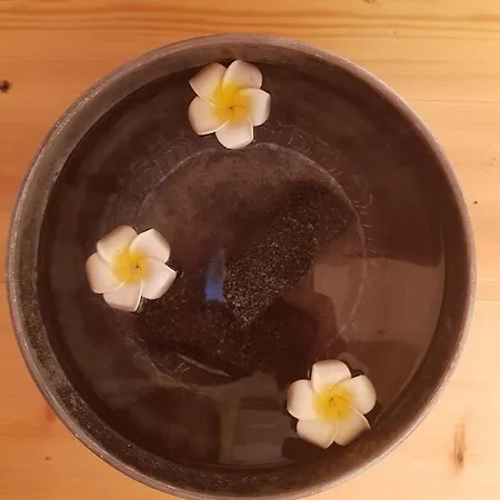 بيت خشبي Shanti Insolites Et Espace Bien-etre Bordeaux